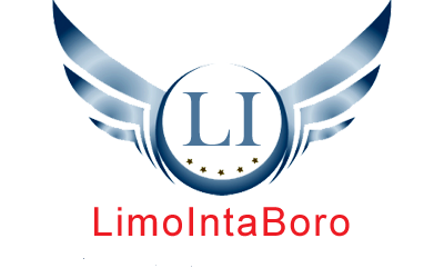 LimoIntaBoro LLC