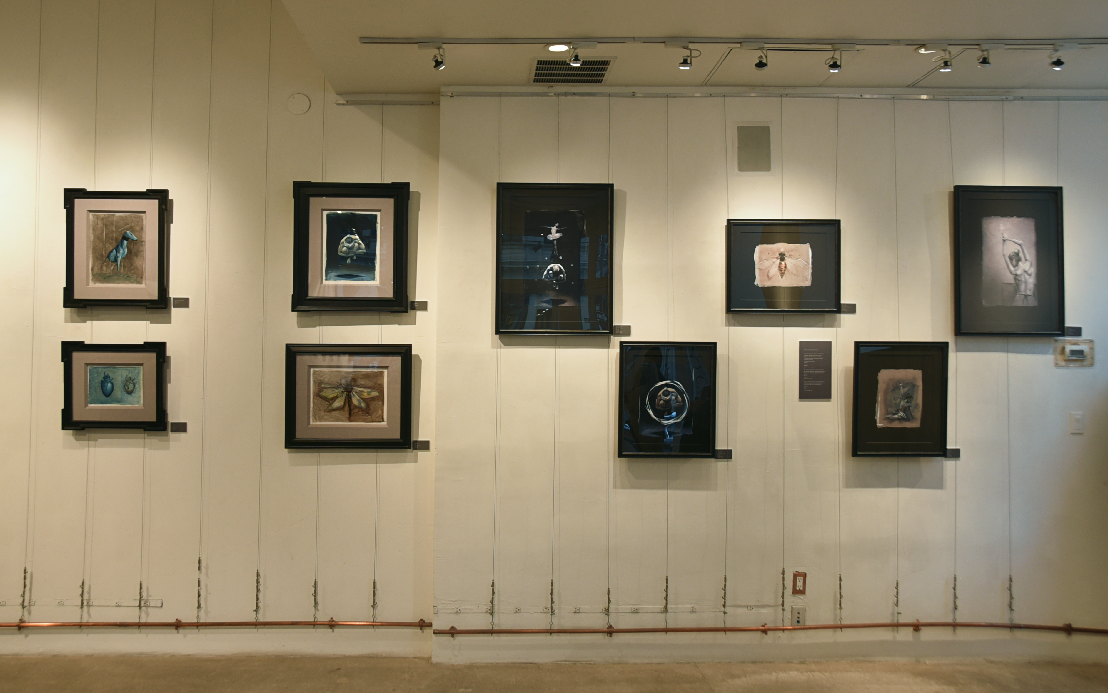 AFA Gallery